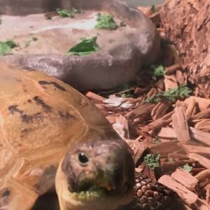 Meet your Posher, August